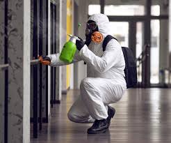 Best Mold Remediation for Rental Properties  in Stanford, KY